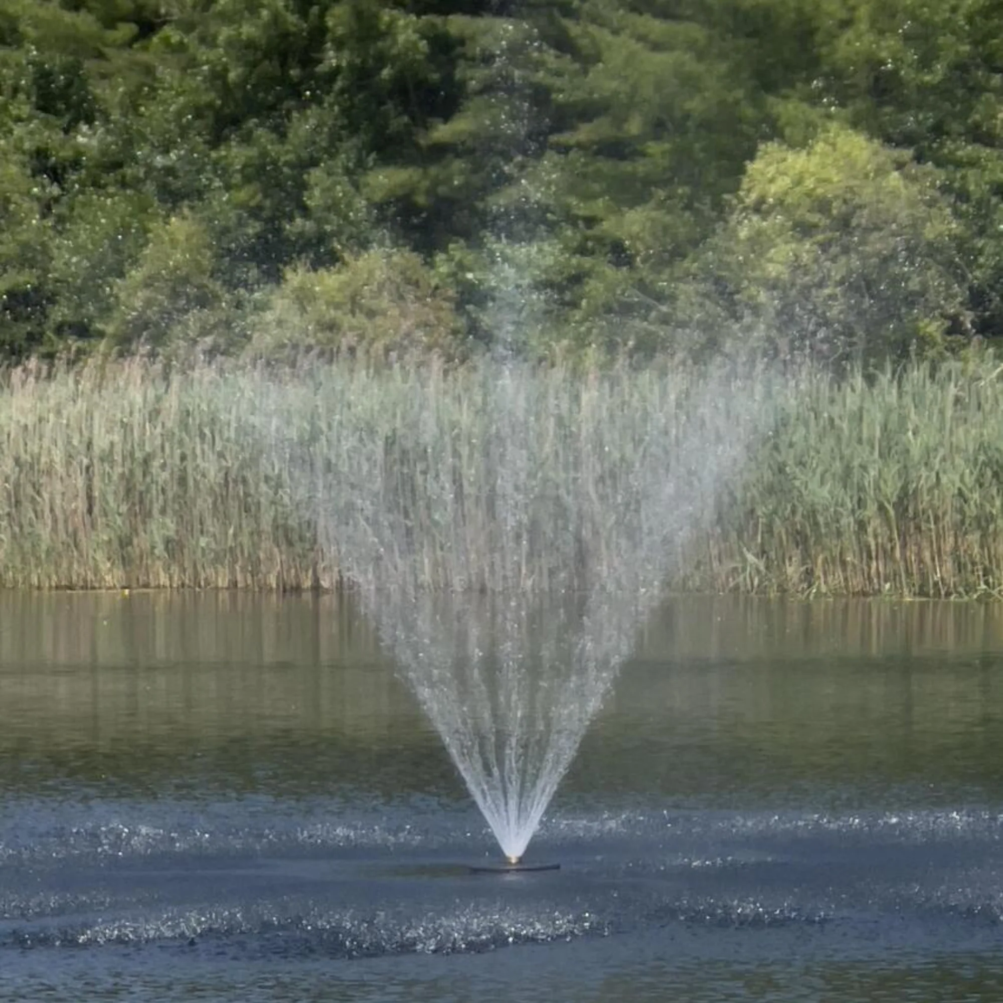 Floating Pond Fountain Pump 10-20ft Height | Large Pond Aerator | Fish Safe | DIY Friendly | 110 or 220V AC Single Phase Dual Power - Image 5
