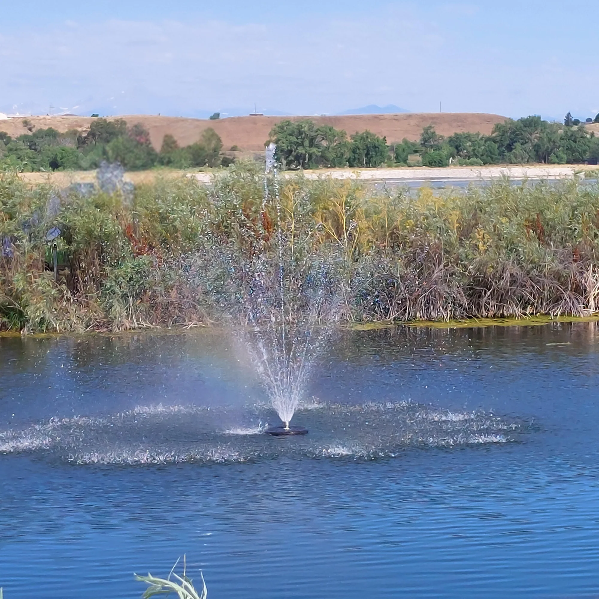 Floating Pond Fountain Pump 10-20ft Height | Large Pond Aerator | Fish Safe | DIY Friendly | 110 or 220V AC Single Phase Dual Power - Image 6